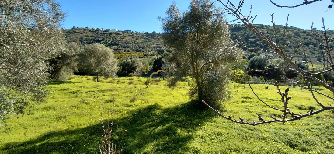 Moradia T3 para Venda em São Bartolomeu de Messines Foto 19