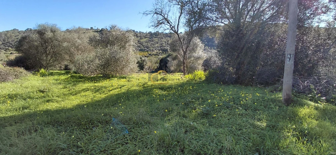 Moradia T3 para Venda em São Bartolomeu de Messines Foto 17