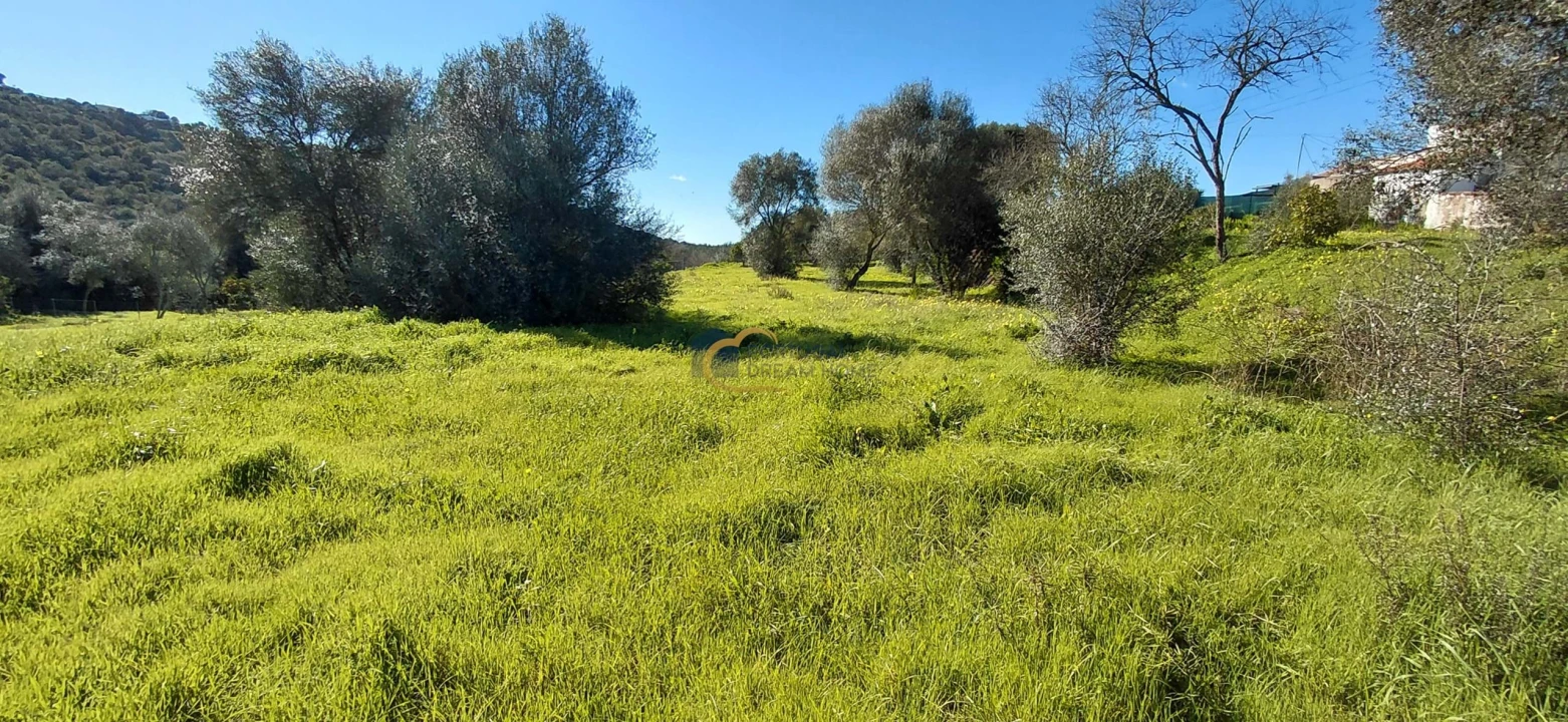 Moradia T3 para Venda em São Bartolomeu de Messines Foto 22