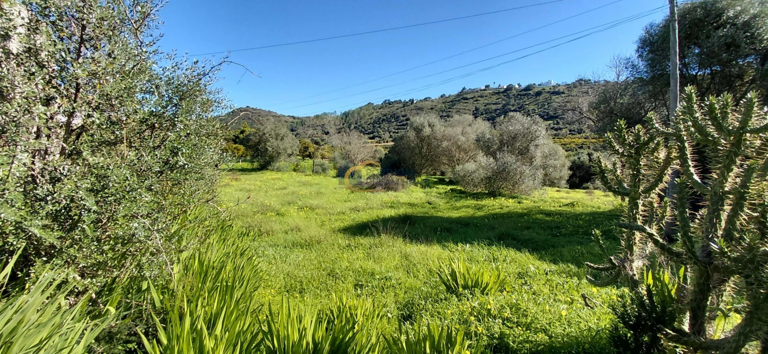 Moradia T3 para Venda em São Bartolomeu de Messines Foto 15
