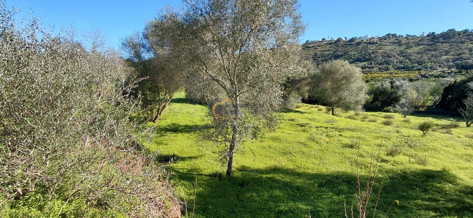 Moradia T3 para Venda em São Bartolomeu de Messines Foto 18