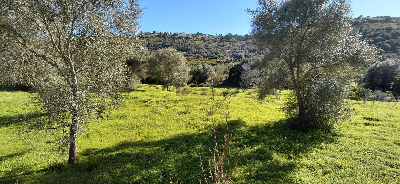 Moradia T3 para Venda em São Bartolomeu de Messines Foto 20
