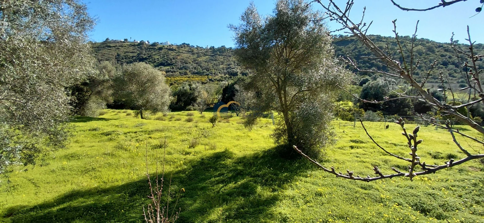 Moradia T3 para Venda em São Bartolomeu de Messines Foto 19