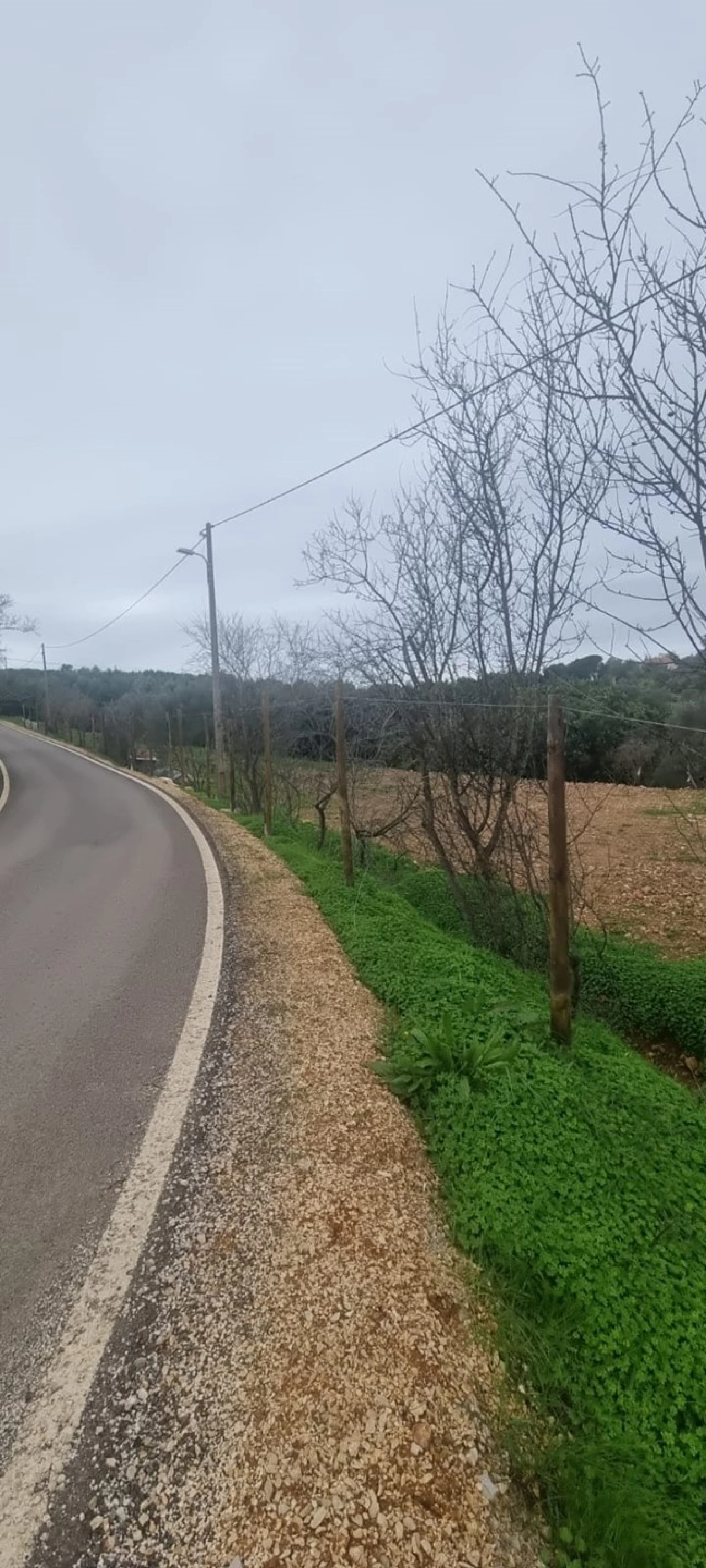 Terreno para Venda em São Silvestre Foto 1