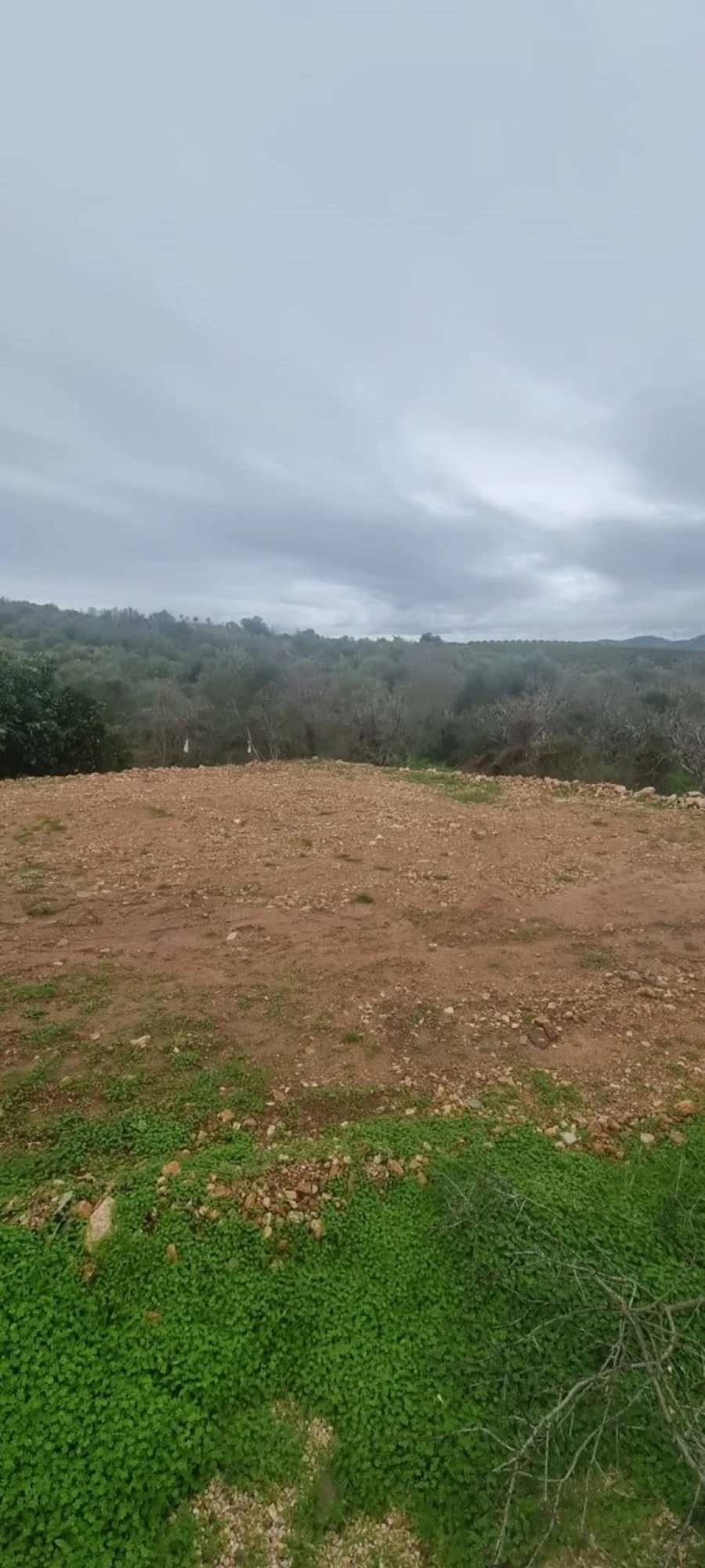 Terreno para Venda em São Silvestre Foto 5