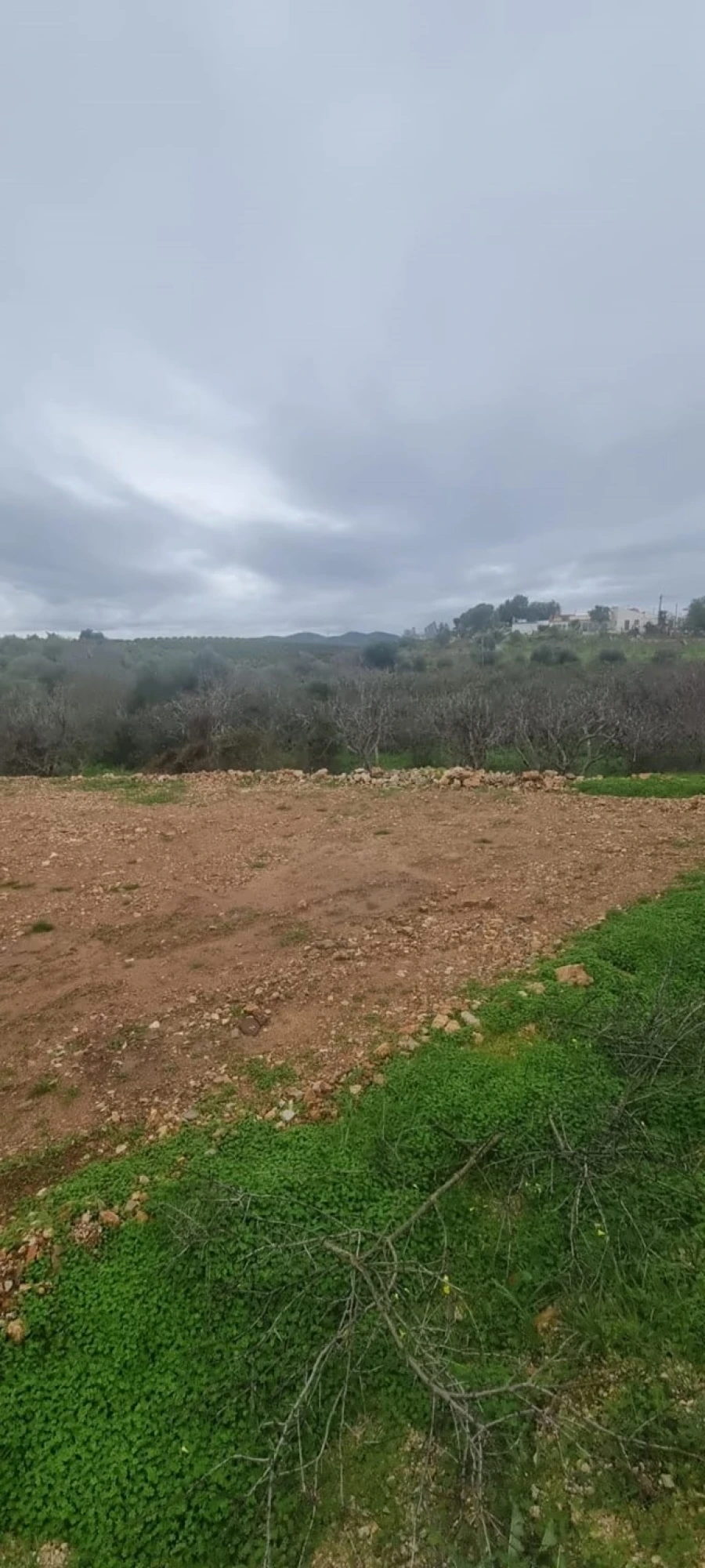 Terreno para Venda em São Silvestre Foto 2