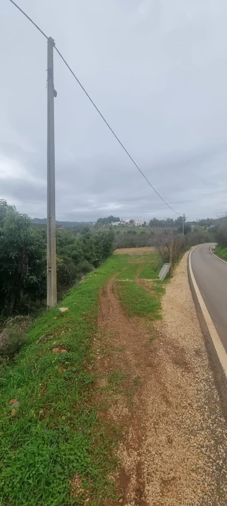 Terreno para Venda em São Silvestre Foto 3