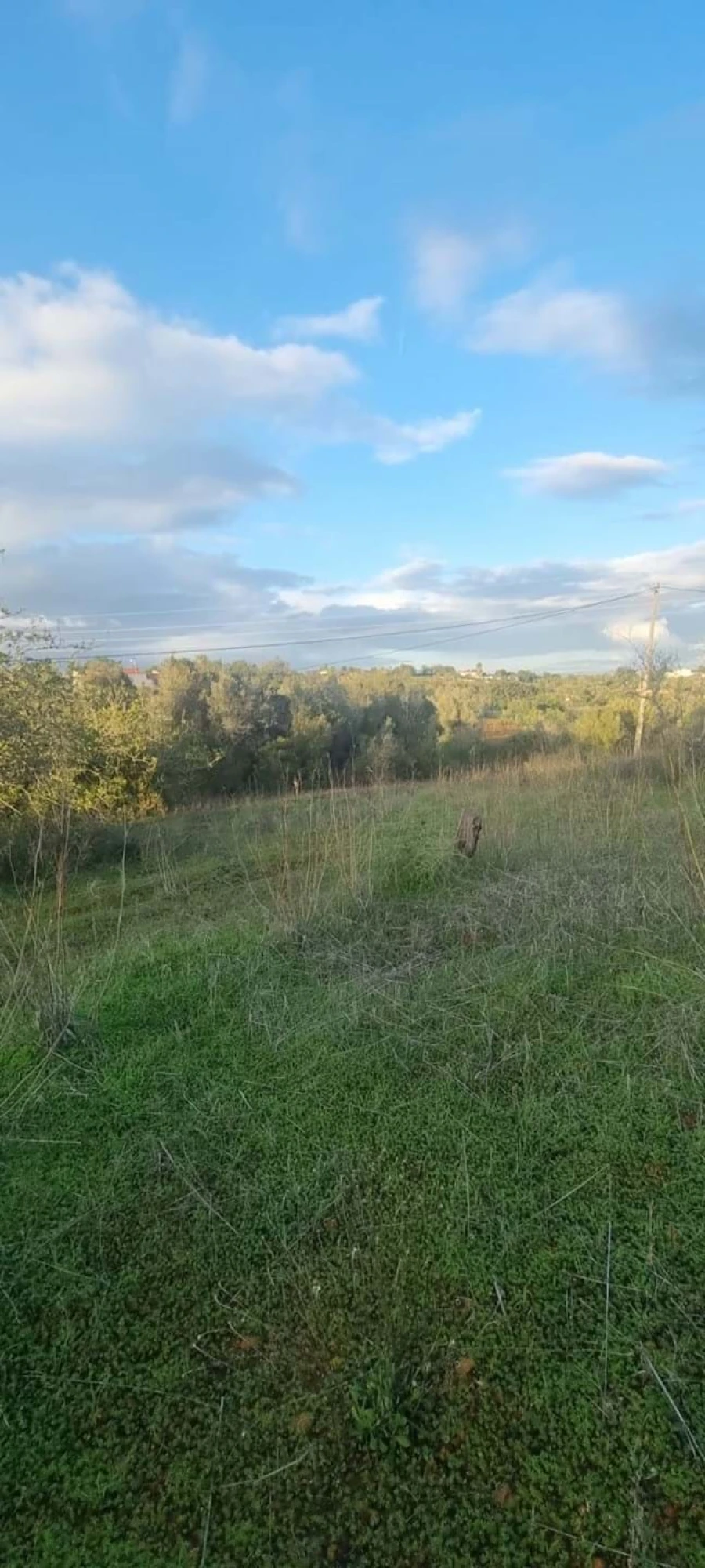 Terreno para Venda em Porches Foto 3