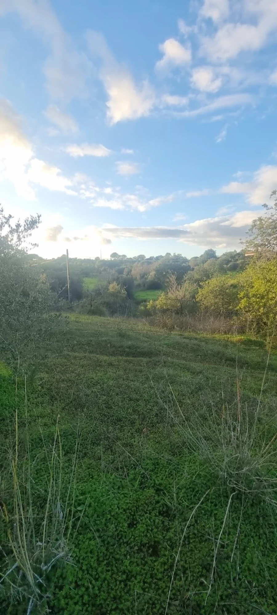 Terreno para Venda em Porches Foto 2