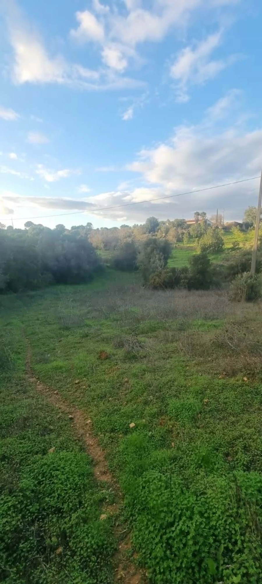 Terreno para Venda em Porches Foto 4