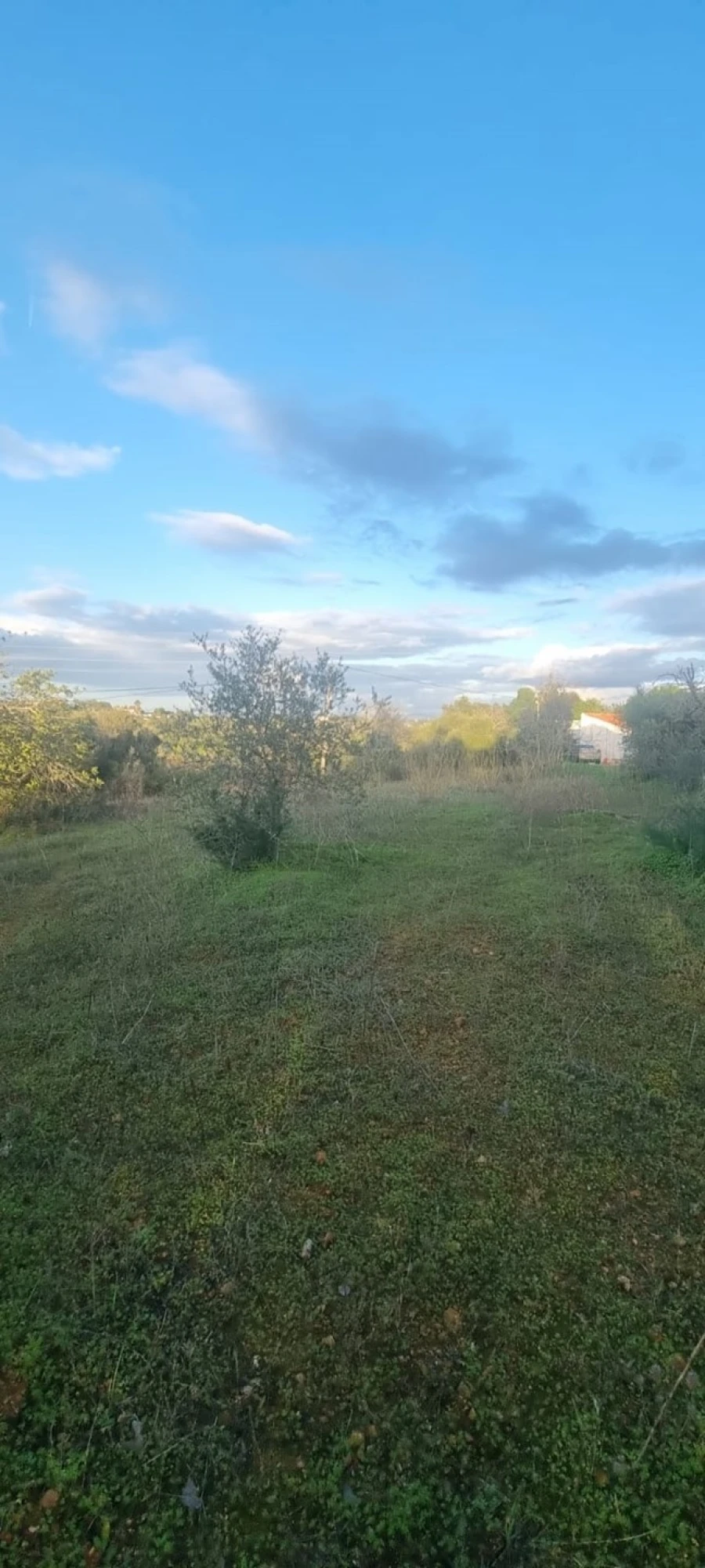 Terreno para Venda em Porches Foto 1