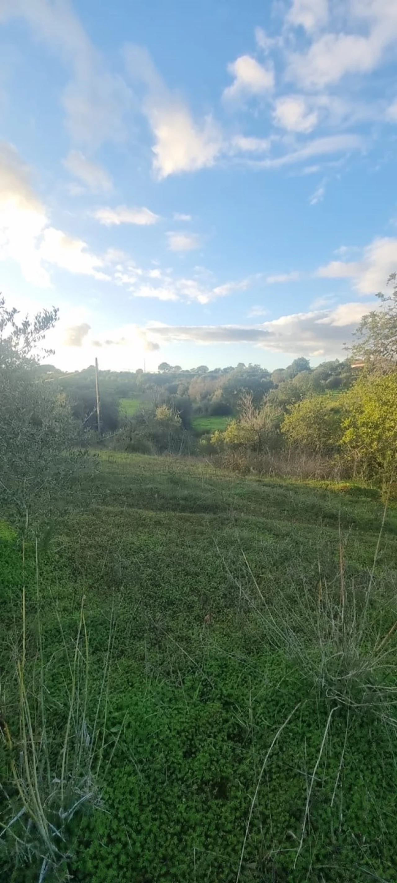 Terreno para Venda em Porches Foto 2