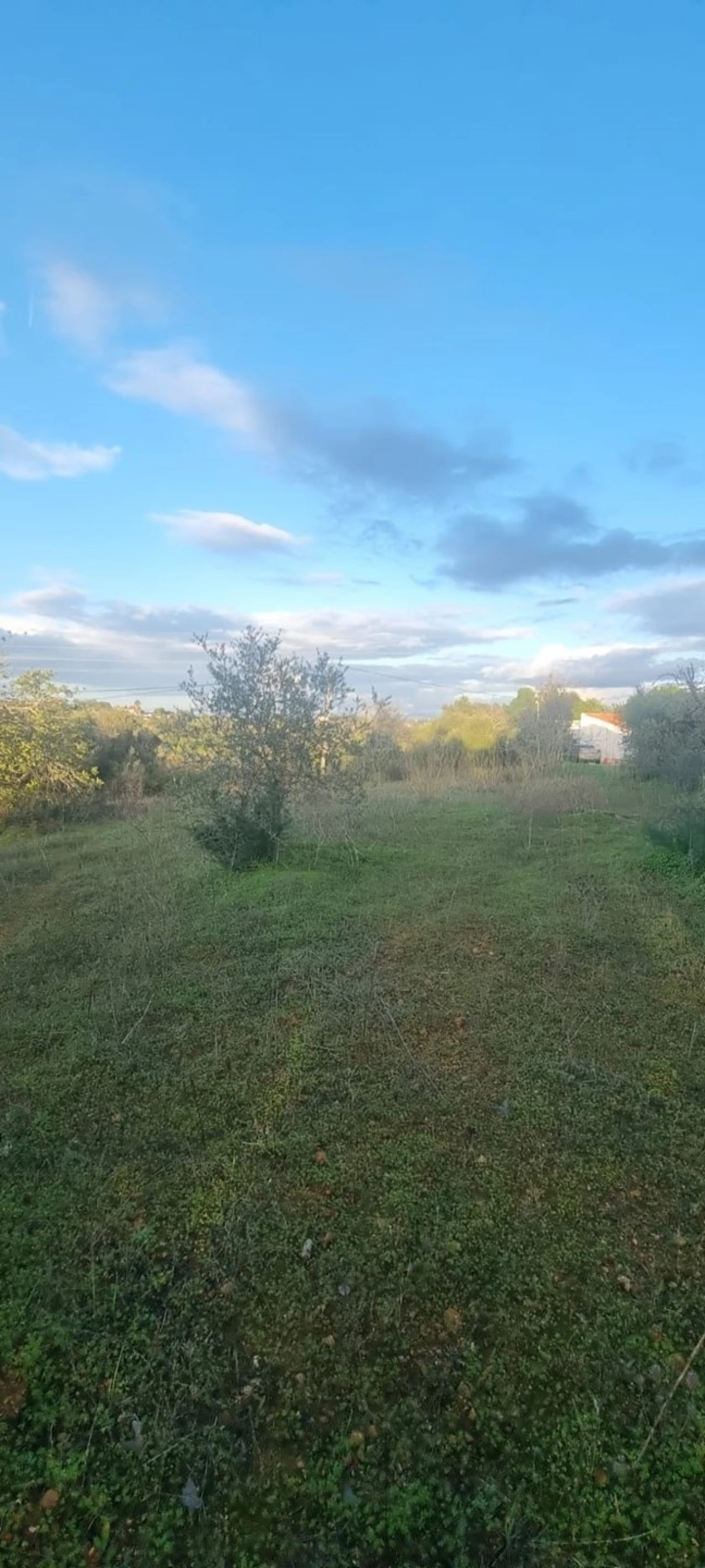 Terreno para Venda em Porches Foto 1