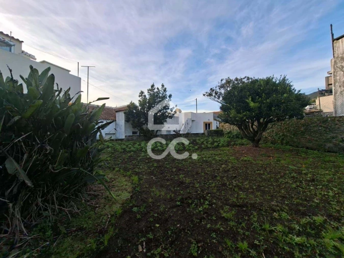 Terreno para Venda em São Bento Foto 5