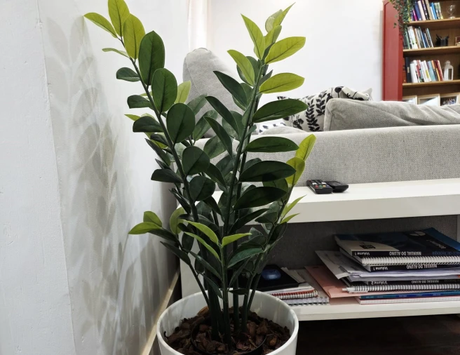 Apartamento T2 para Venda em Algés, Linda-A-Velha e Cruz Quebrada-Dafundo Foto 6