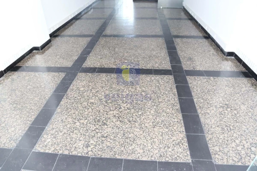 Negócio para Arrendamento em Penha de França Foto 6