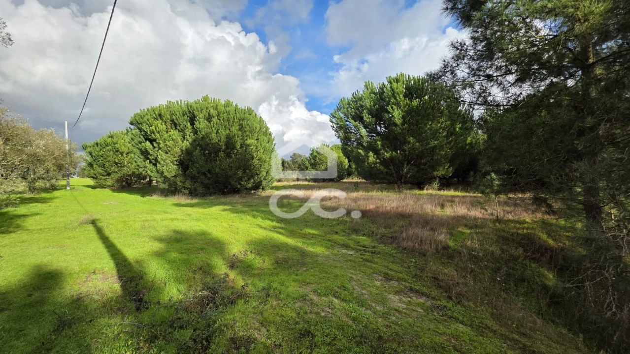 Terreno para Venda em Montijo e Afonsoeiro Foto 4