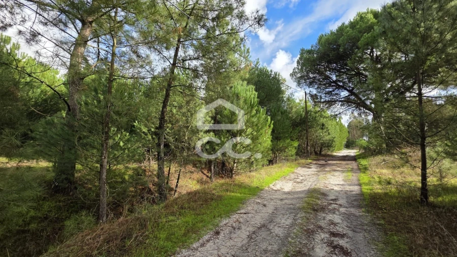 Terreno para Venda em Montijo e Afonsoeiro Foto 7