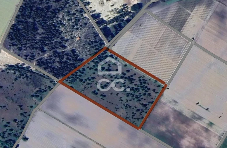 Terreno para Venda em Montijo e Afonsoeiro Foto 8