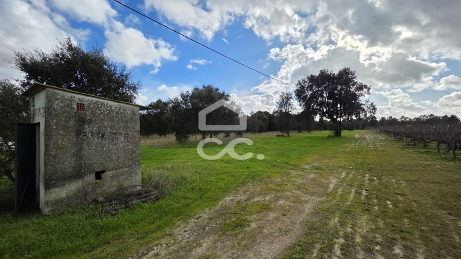 Terreno para Venda em Montijo e Afonsoeiro Foto 6