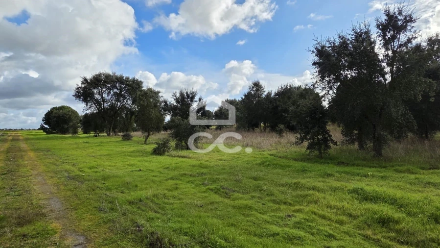 Terreno para Venda em Montijo e Afonsoeiro Foto 2