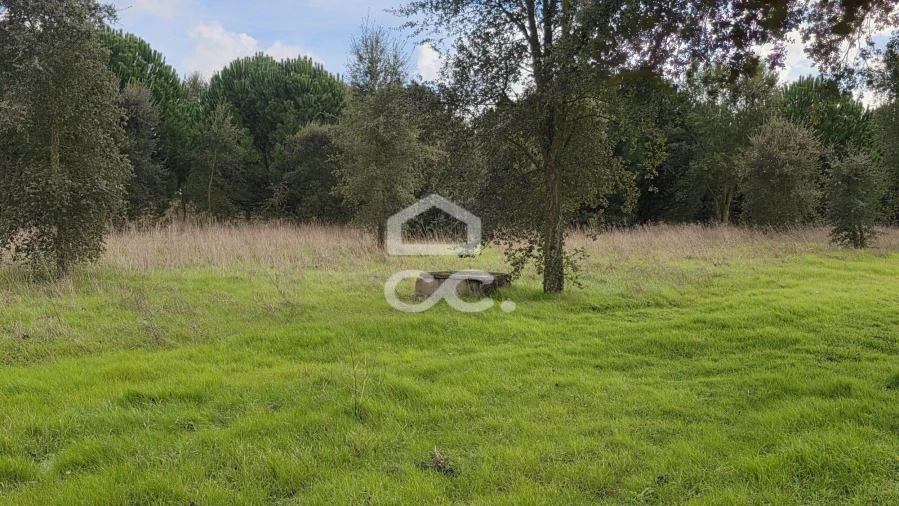 Terreno para Venda em Montijo e Afonsoeiro Foto 3