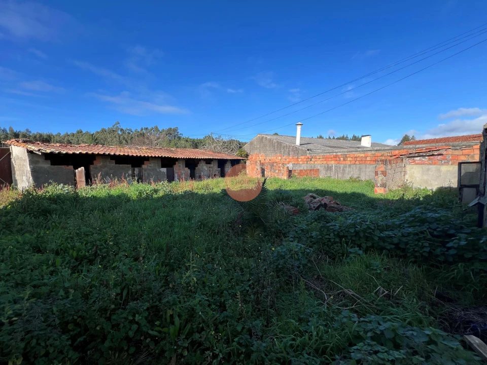 Moradia T3 para Venda em Famalicão Foto 53