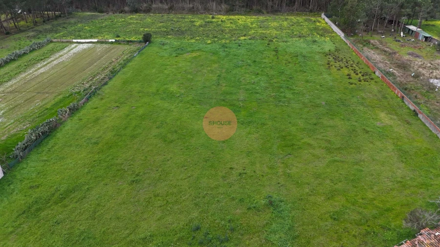 Terreno para Venda em Famalicão Foto 4