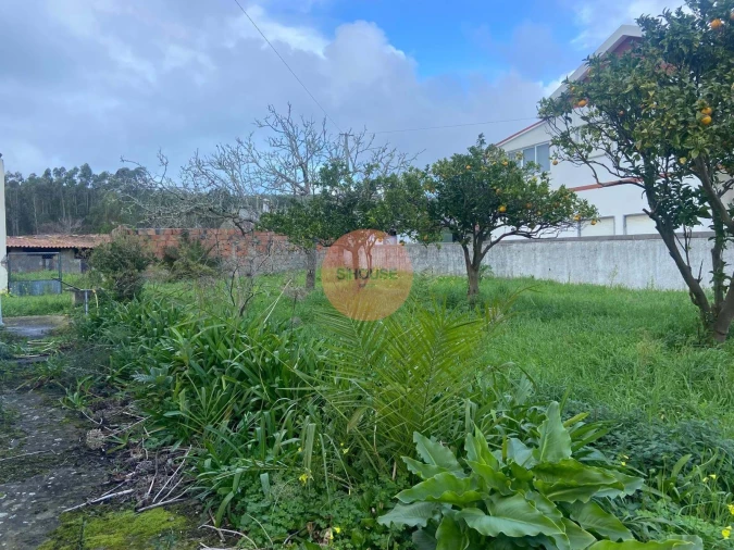 Terreno para Venda em Famalicão Foto 22