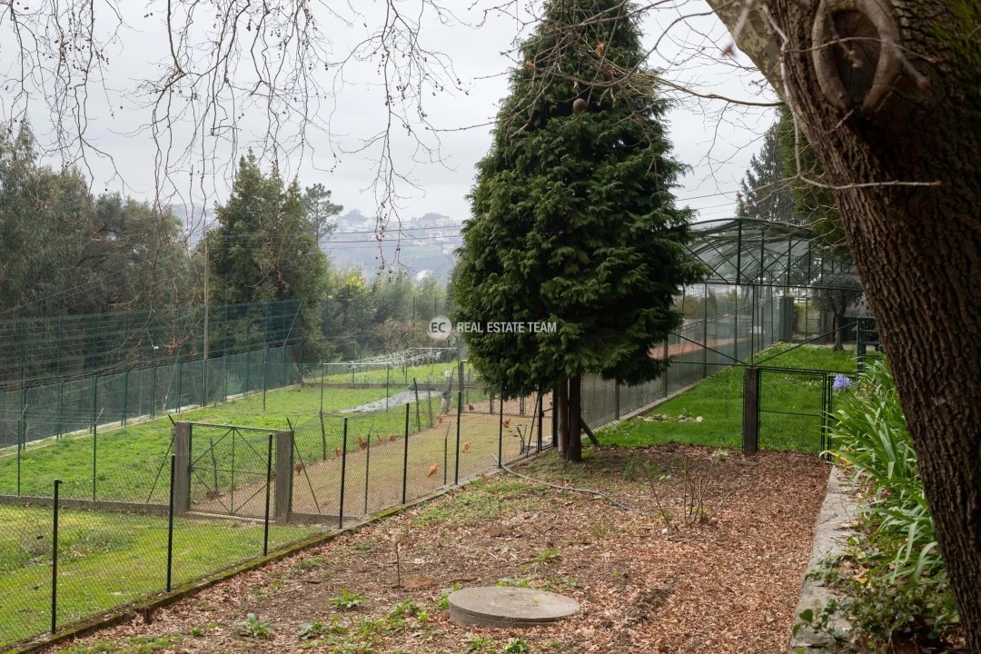 Quinta T11 para Venda em O. Azeméis, Riba-Ul, Ul, Macinhata Seixa, Madail Foto 20