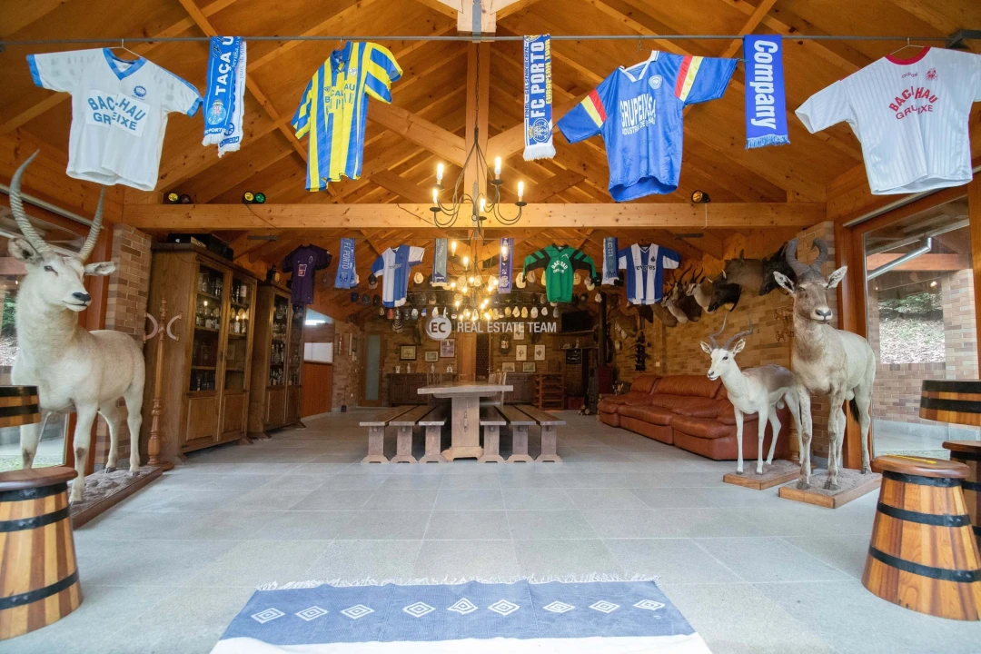 Quinta T11 para Venda em O. Azeméis, Riba-Ul, Ul, Macinhata Seixa, Madail Foto 47