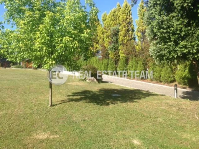 Quinta T11 para Venda em O. Azeméis, Riba-Ul, Ul, Macinhata Seixa, Madail Foto 57