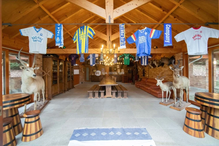 Quinta T11 para Venda em O. Azeméis, Riba-Ul, Ul, Macinhata Seixa, Madail Foto 48