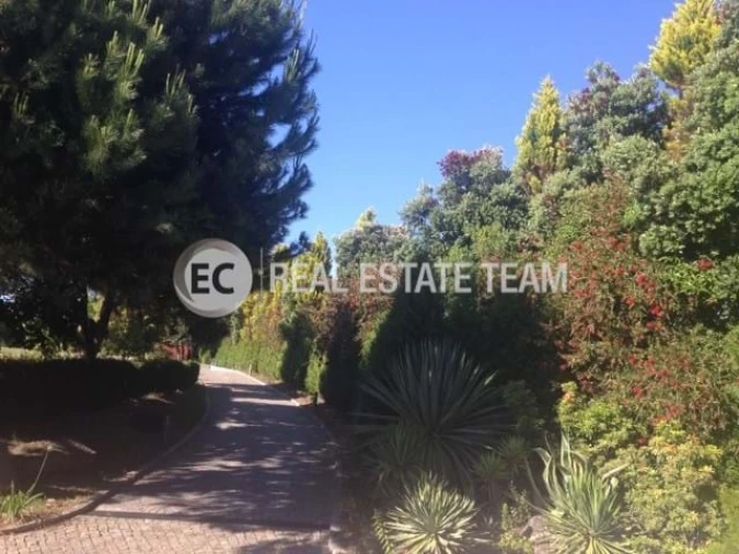 Quinta T11 para Venda em O. Azeméis, Riba-Ul, Ul, Macinhata Seixa, Madail Foto 55