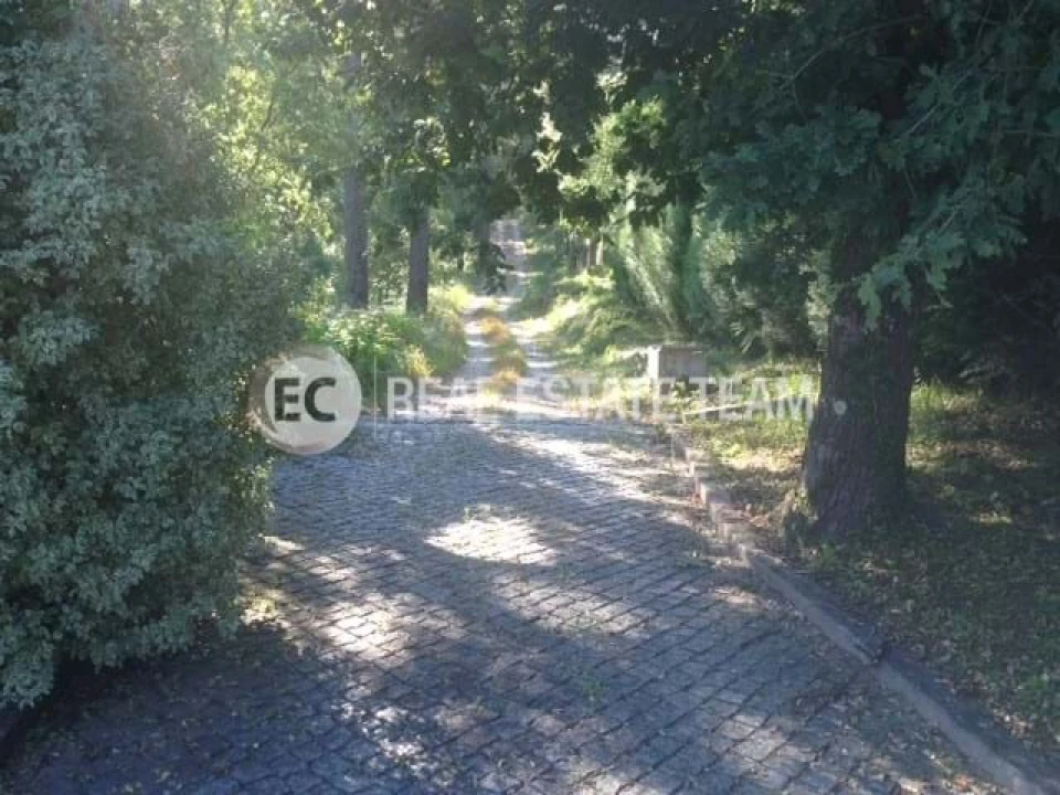 Quinta T11 para Venda em O. Azeméis, Riba-Ul, Ul, Macinhata Seixa, Madail Foto 59