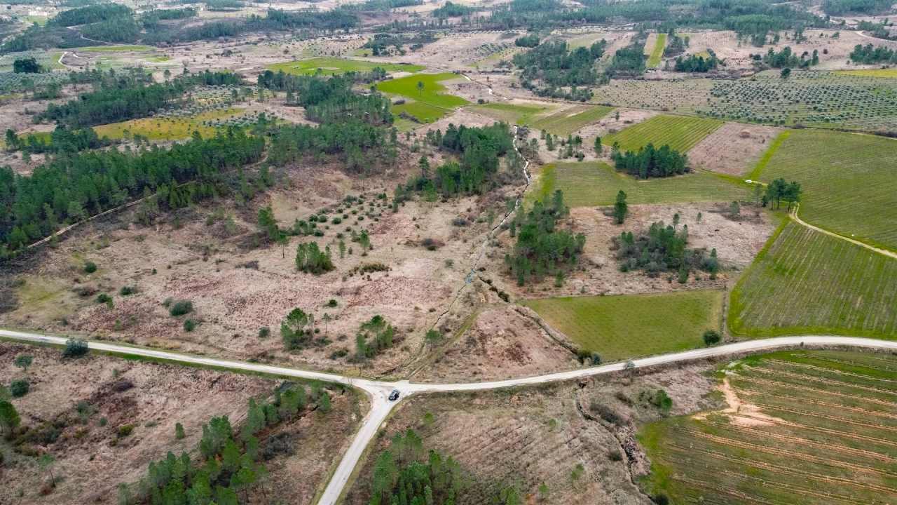 Quinta T0 para Venda em Sarzedas Foto 29