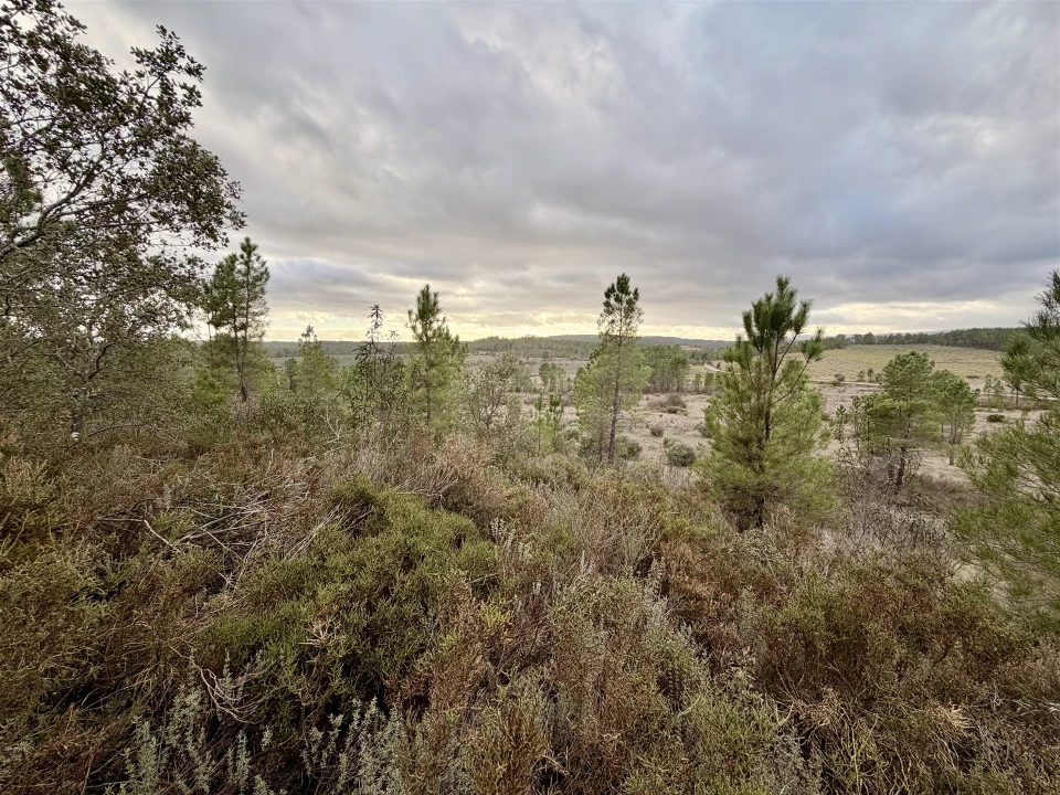 Quinta T0 para Venda em Sarzedas Foto 24