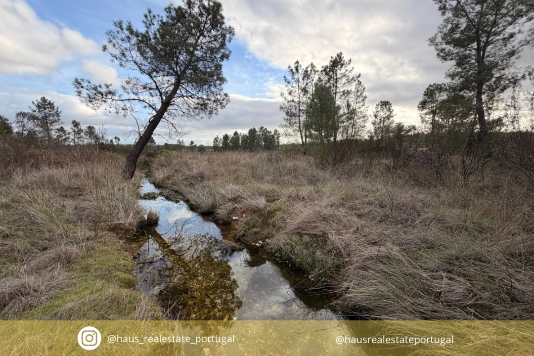 Quinta T0 para Venda em Sarzedas Foto 1