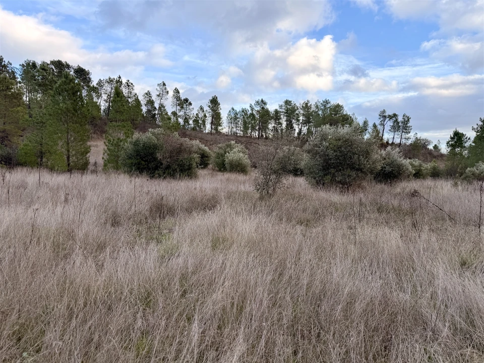 Quinta T0 para Venda em Sarzedas Foto 26