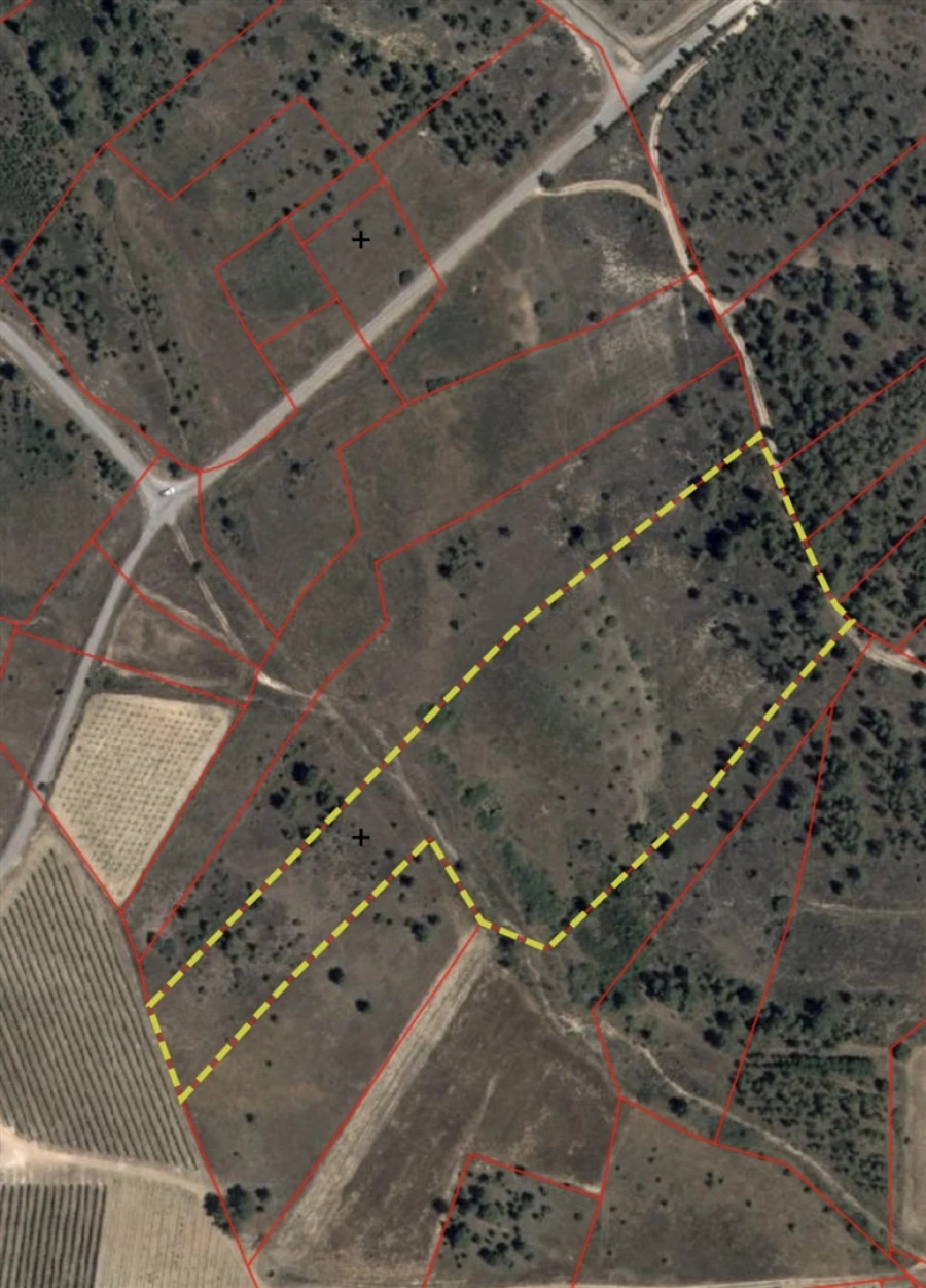 Quinta T0 para Venda em Sarzedas Foto 5