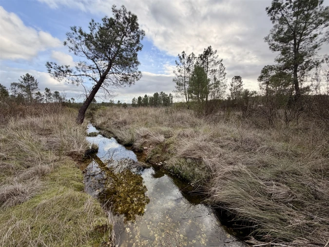 Quinta T0 para Venda em Sarzedas Foto 13