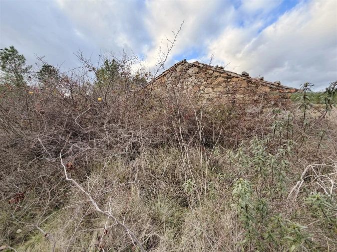 Quinta T0 para Venda em Sarzedas Foto 9