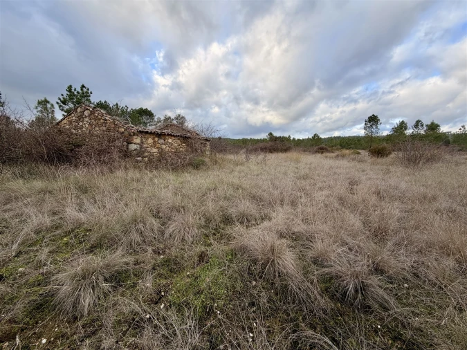 Quinta T0 para Venda em Sarzedas Foto 18