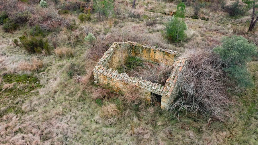 Quinta T0 para Venda em Sarzedas Foto 3