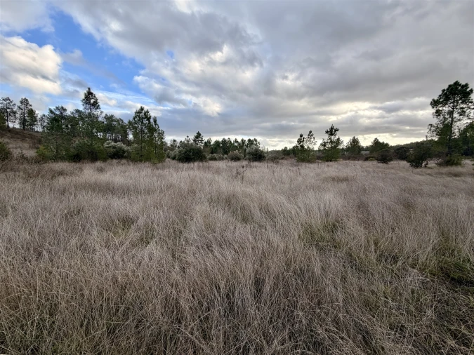 Quinta T0 para Venda em Sarzedas Foto 25
