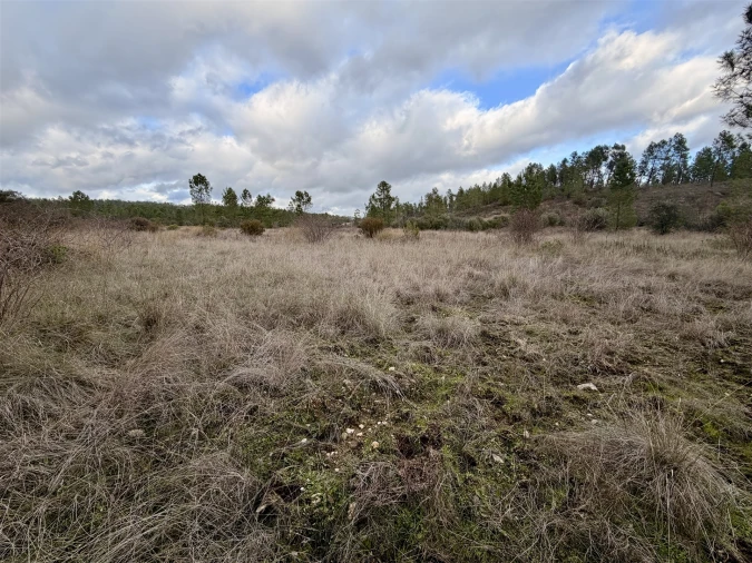 Quinta T0 para Venda em Sarzedas Foto 17