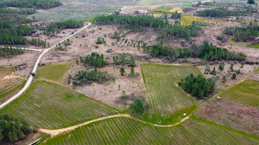 Quinta T0 para Venda em Sarzedas Foto 6