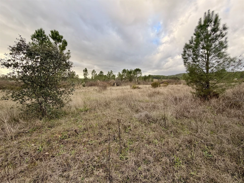 Quinta T0 para Venda em Sarzedas Foto 20