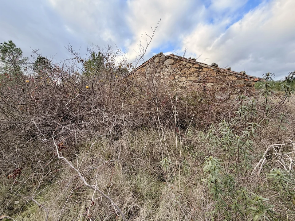 Quinta T0 para Venda em Sarzedas Foto 9