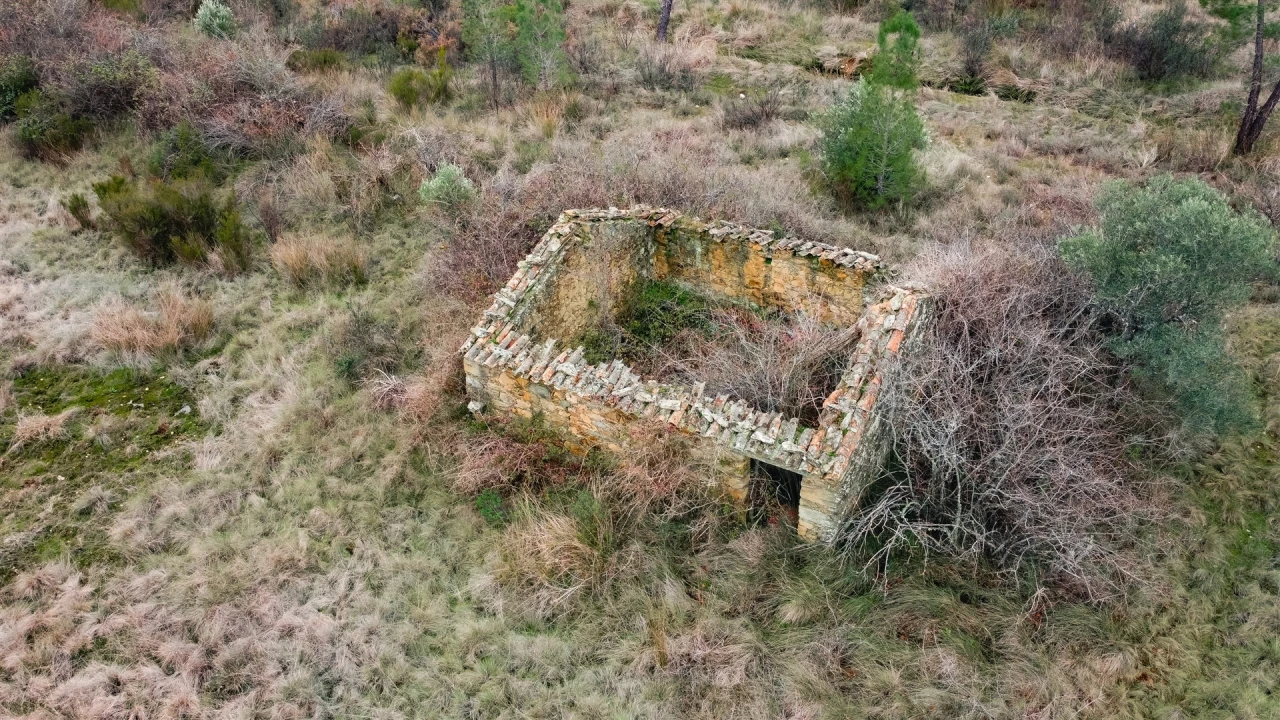 Quinta T0 para Venda em Sarzedas Foto 3